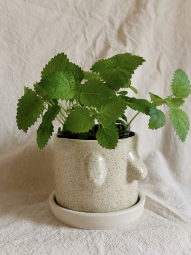 Folk art boobie planter